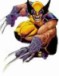 L'Avatar di xWolverinex